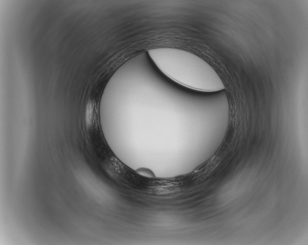 X0000112210095200908071311