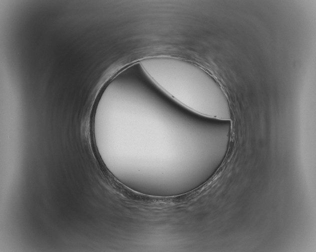X0000112210099200908071311