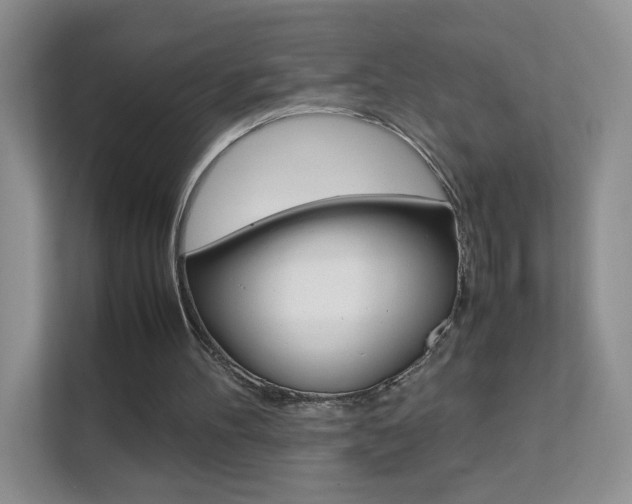 X0000112210100200908071311