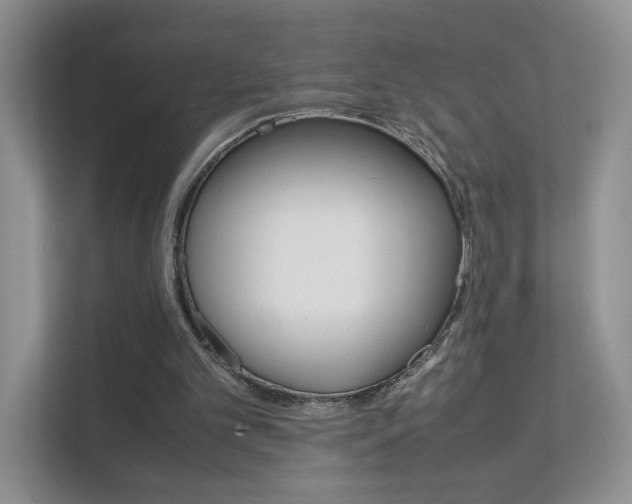 X0000112210101200908071311