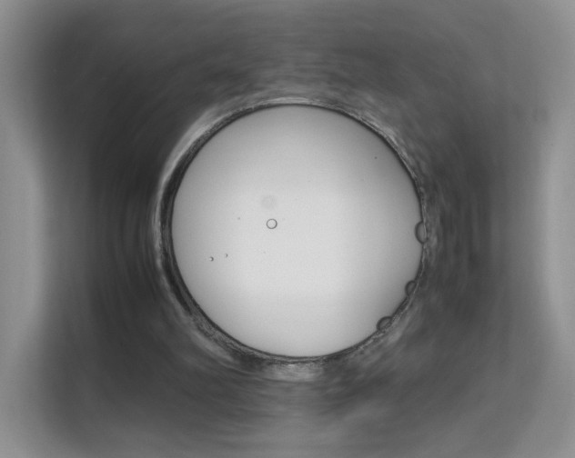 X0000112210102200908071311