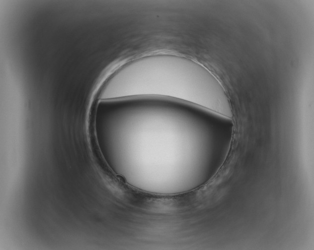 X0000112210104200908071311