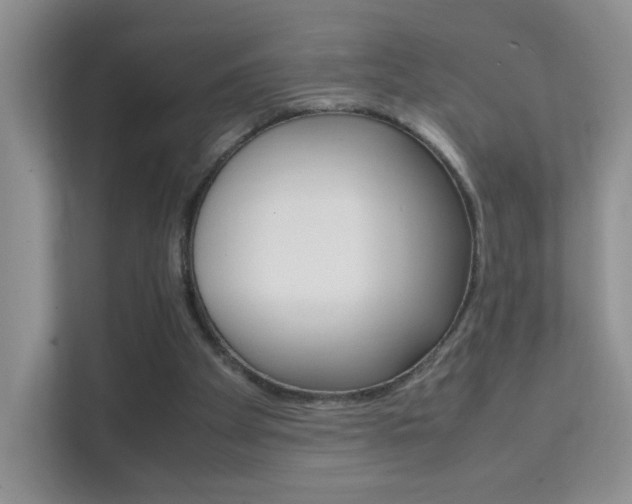 X0000112210105200908071311