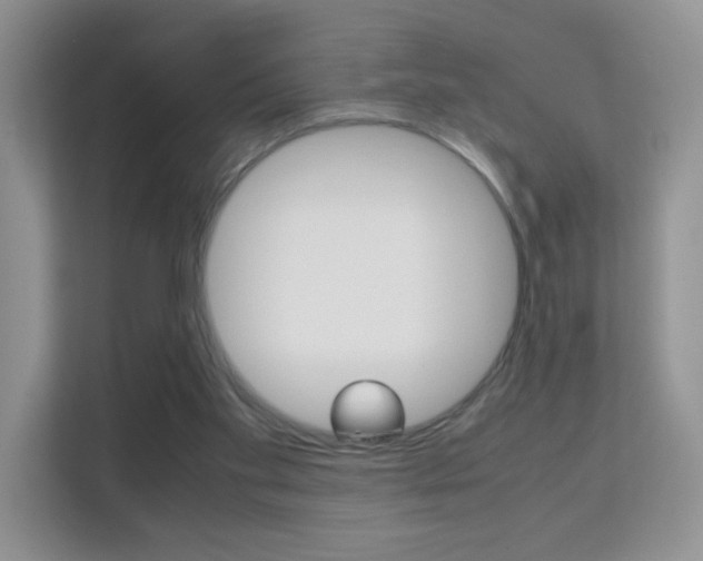 X0000112210109200908071311