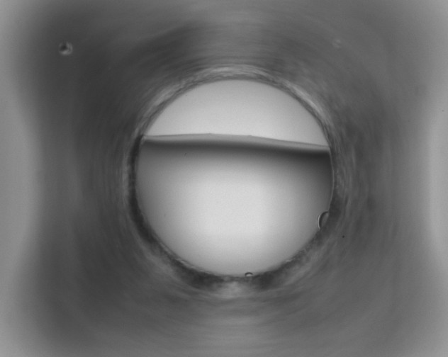 X0000112210111200908071311