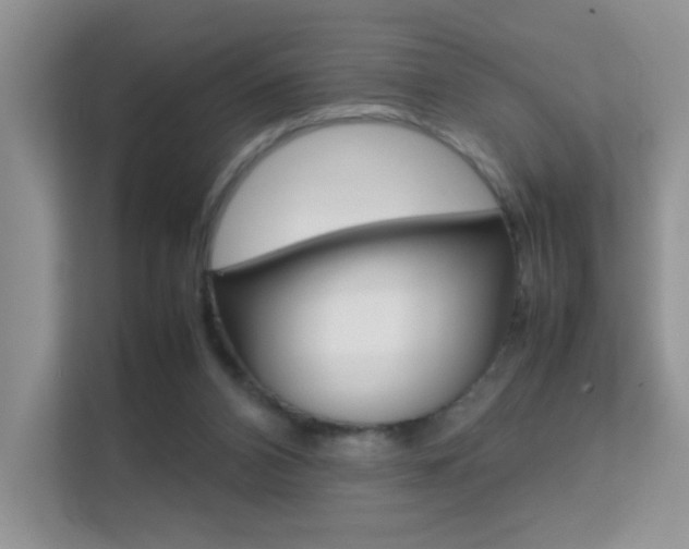 X0000112210112200908071311