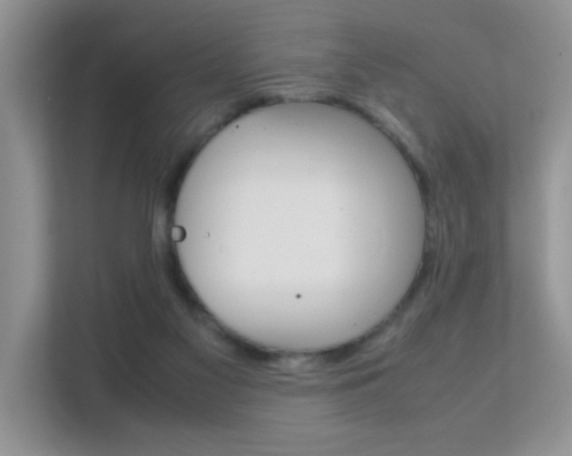 X0000112210117200908071311