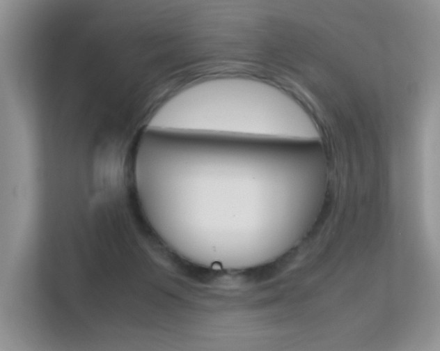 X0000112210119200908071311
