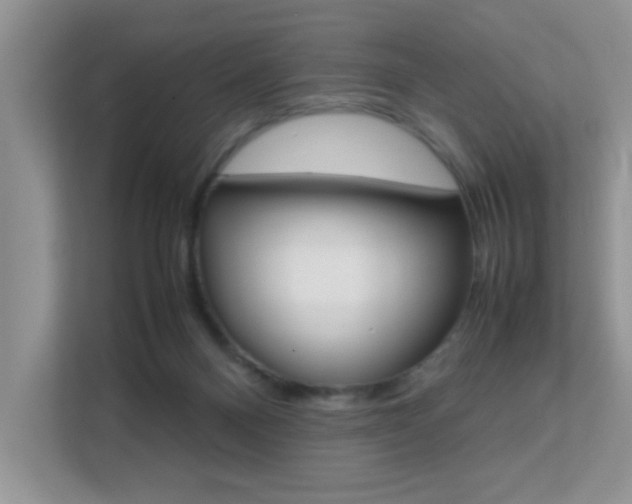 X0000112210120200908071311