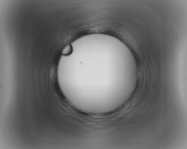 X0000112210127200908071310