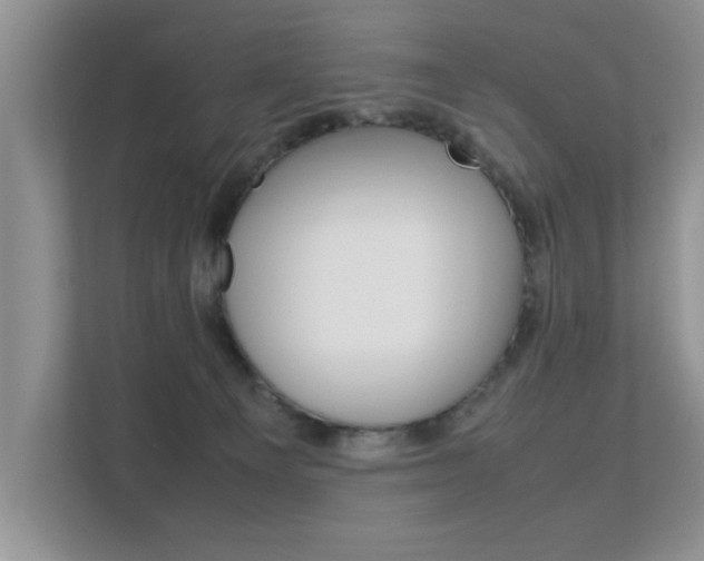 X0000112210129200908071310
