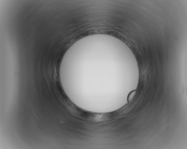 X0000112210130200908071310