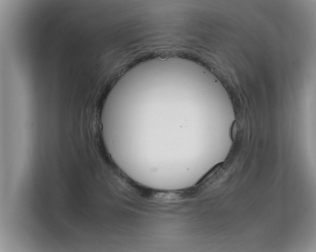 X0000112210133200908071310