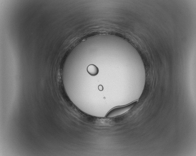 X0000112210137200908071310