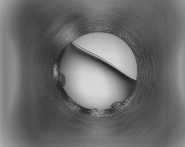 X0000112210143200908071310