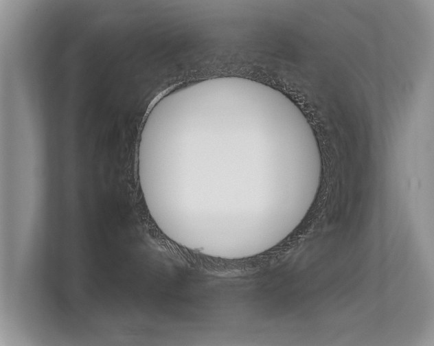 X0000112210144200908071310