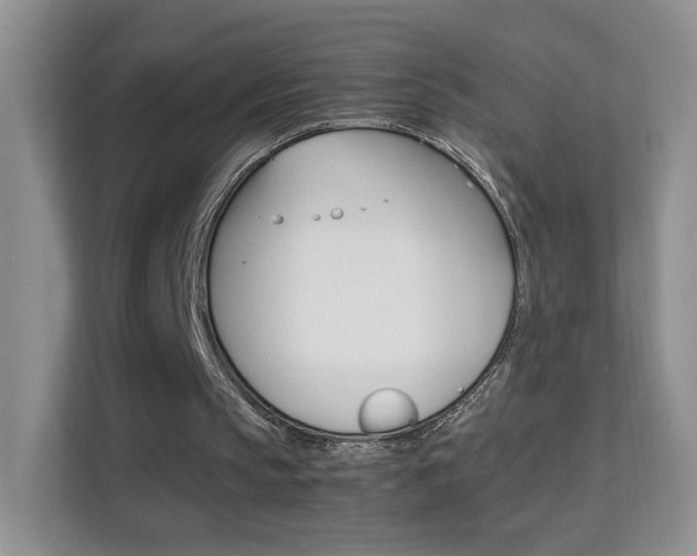X0000112210145200908071310