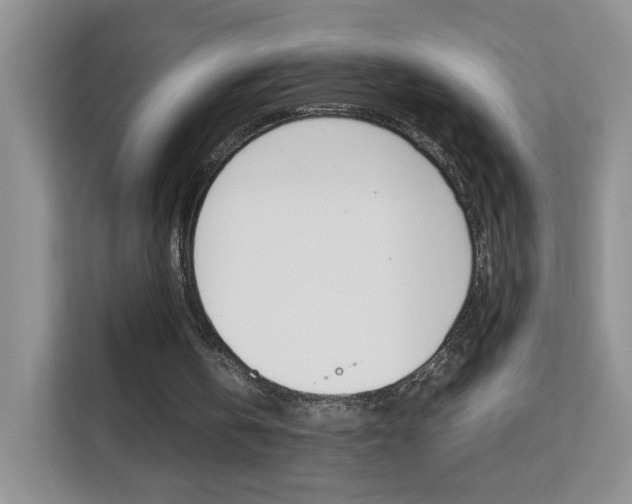 X0000112210146200908071310