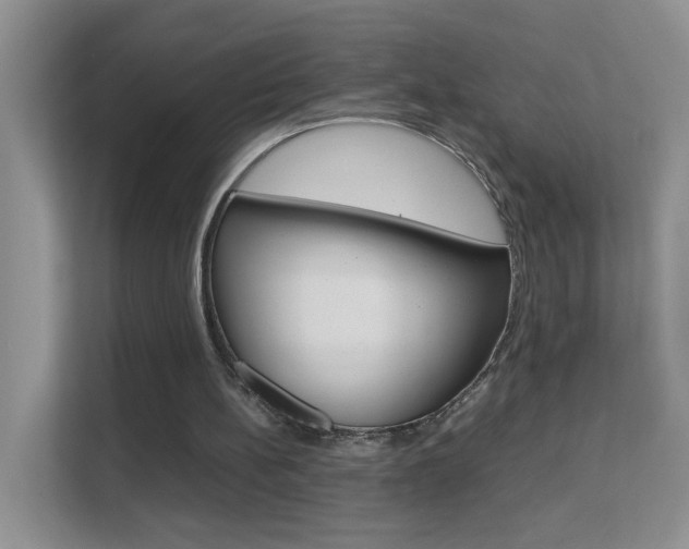 X0000112210148200908071310