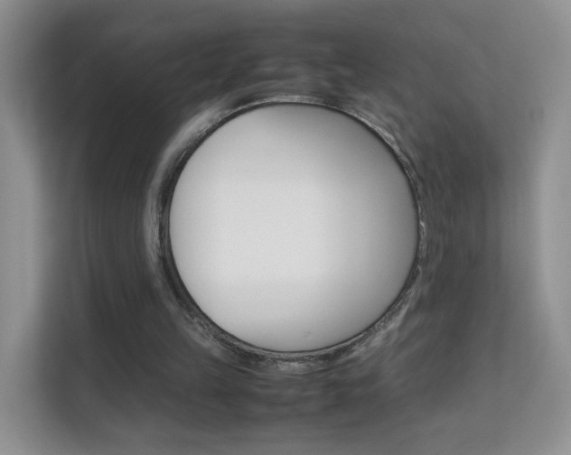 X0000112210149200908071310