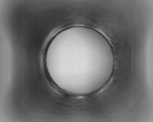 X0000112210151200908071310