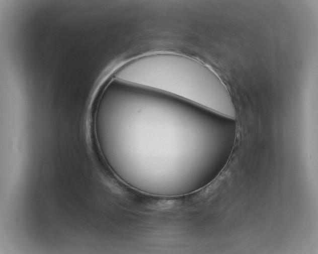 X0000112210152200908071310