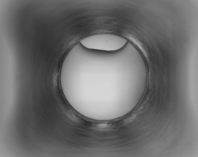 X0000112210153200908071310