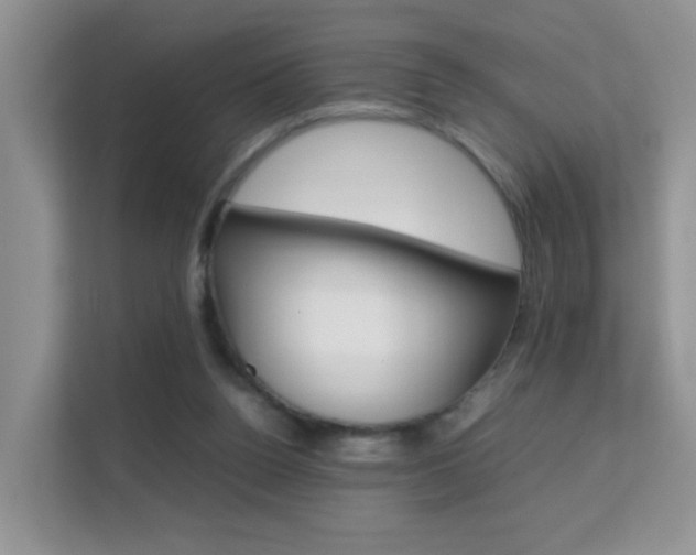 X0000112210160200908071310