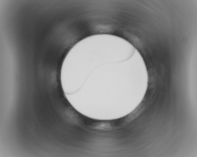 X0000112210162200908071310