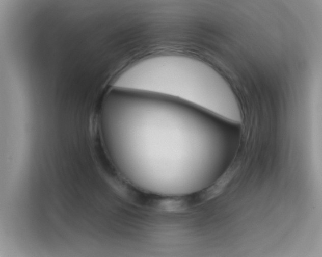 X0000112210168200908071310