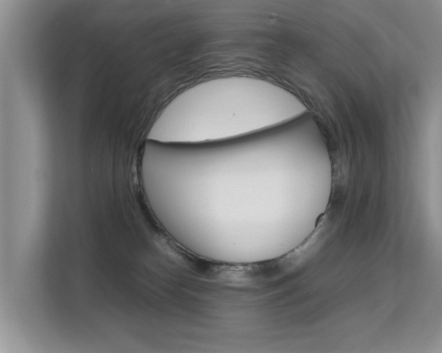 X0000112210182200908071310