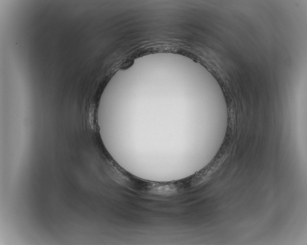 X0000112210185200908071310