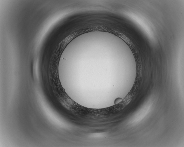 X0000112210189200908071310