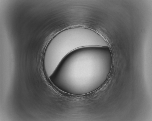X0000112210193200908071310