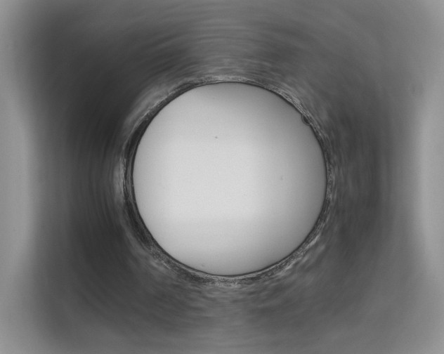 X0000112210194200908071310