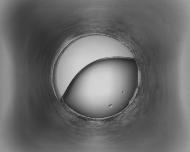 X0000112210195200908071310