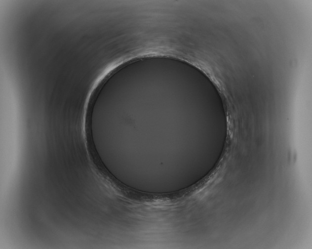 X0000112210196200908071310