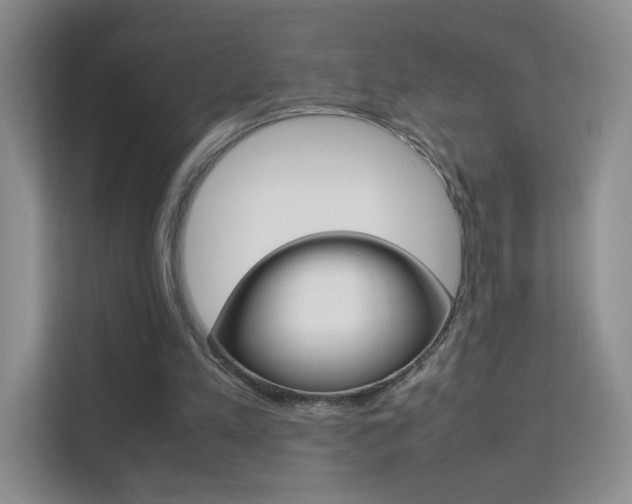 X0000112210197200908071310