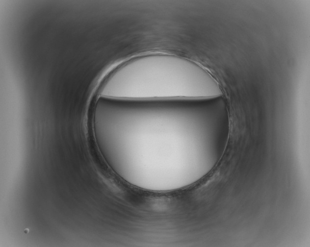 X0000112210200200908071309
