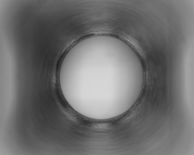 X0000112210202200908071309