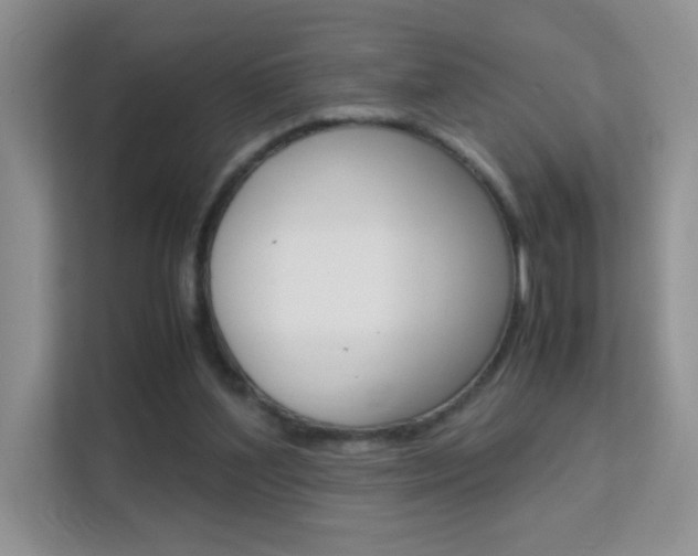 X0000112210204200908071309