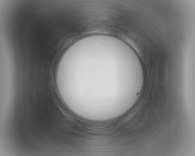 X0000112210205200908071309