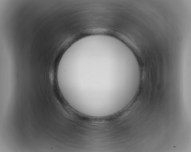 X0000112210206200908071309