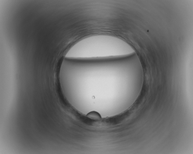 X0000112210211200908071309