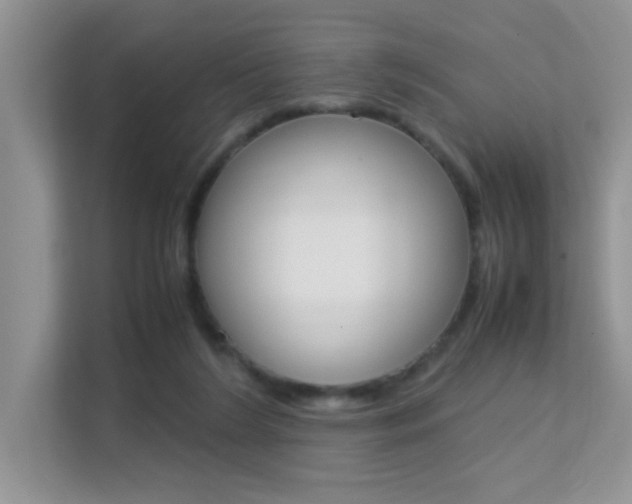 X0000112210212200908071309