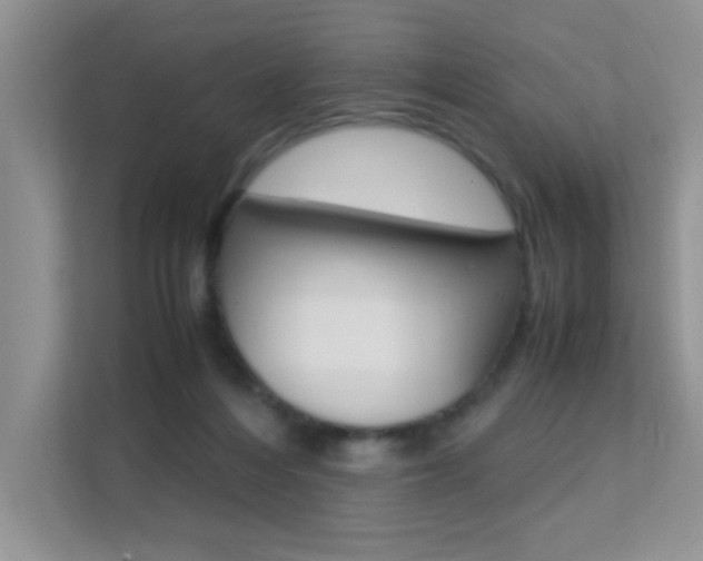 X0000112210216200908071309