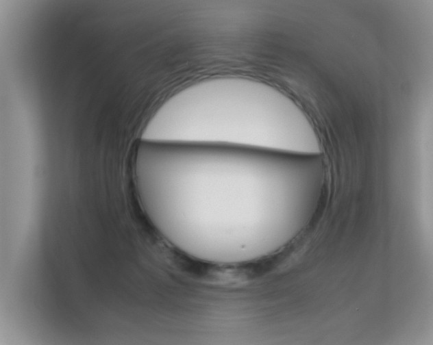 X0000112210221200908071309