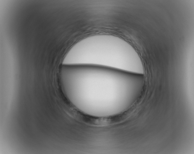 X0000112210225200908071309