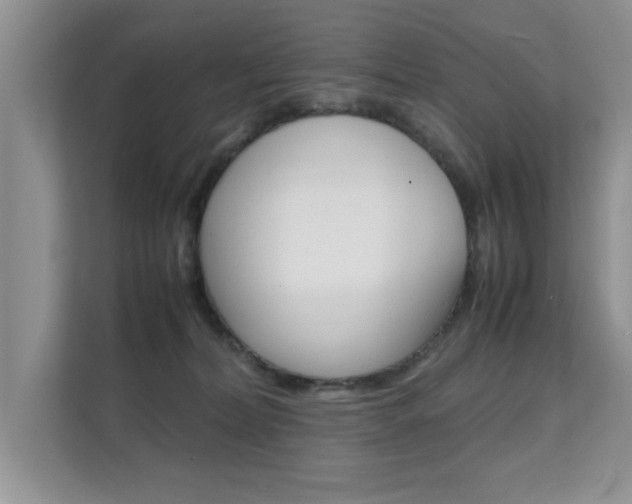 X0000112210228200908071309