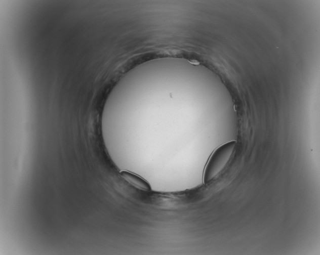 X0000112210229200908071309